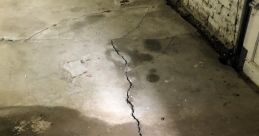 LTG Seal Up Cracks When you think of LTG Seal Up Cracks, the first that may come to mind is the satisfying hiss of the