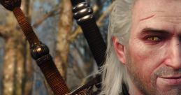 The Witcher