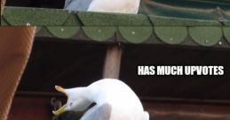 Aaaaaaaaaaaaaaaaaaaaaaaah