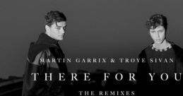 There for you - Martix Garrix and Troye Sivan