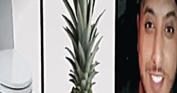 Toilet ananas nadas