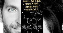 Silver Linings Playbook