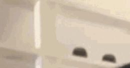 You Tube- Cat Says Yes Vine