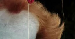 It