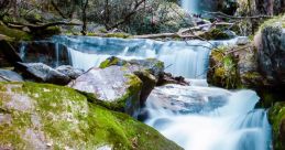Mountain Stream
