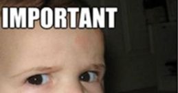 Meme Kid