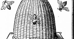 Bee Buzzes "Assembly"