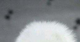 Bola de pelo cof cof The of "Bola de pelo cof cof" can evoke a variety of images and emotions. It is a distinctive that