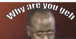 Adel: "Why Are You Ghey?" – Simon