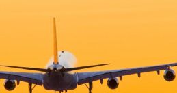 Flight