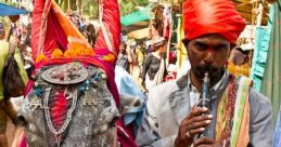 Indian Donkay songa
