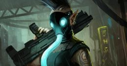 Shadow run