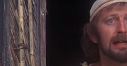 Life of Brian