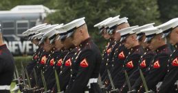 Marines Tribute 2016
