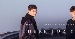 I'll be there for you - Martin Garrix and Troye Sivan