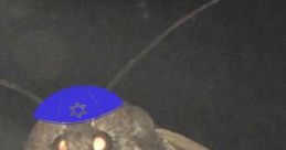 Holy shut what has happened to my moth