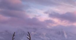 Frozen 2