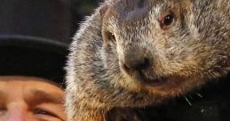 Groundhog Day