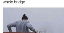 BRADGE MEME