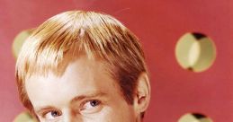 David McCullen