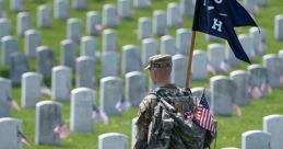 Usa memorial day 2016