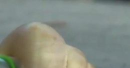 Marcel the Shell with Shoes On, Two