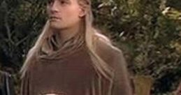 LOTR: Fellowship