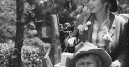 The Beverly Hillbillies