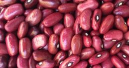 Bean