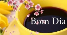 Jc bom dia