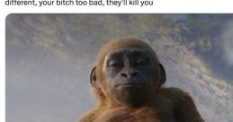Baby Lulu- Did Kong meme