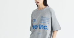 Error_INC