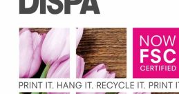 Dispa