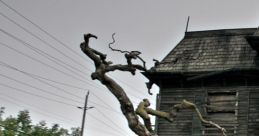 A Haunted House