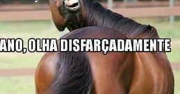 Cavalo Meme