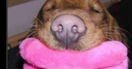 Dame un besito