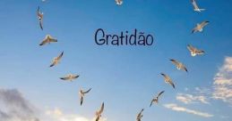 ► Cláudio - Bom dia