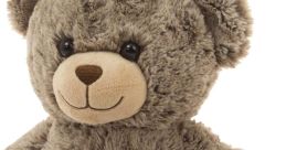 Teddy