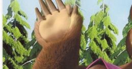 Masha and the Bear