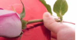 FOR YOU