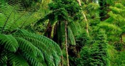 IN THE JUNGLE