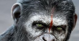 Dawn of the Planet of the Apes