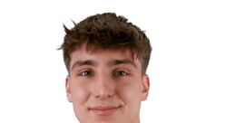 Finn huiskes