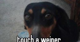 HES TRYINA TOUCH MY WEINER