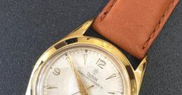 Tudor21