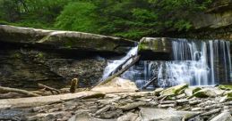 Cleveland Metroparks
