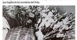 Los caraqueños burlistas - nicolas