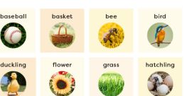 Spring a