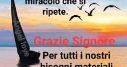 Il signore Bf