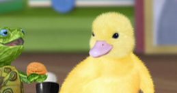 Wonder Pets